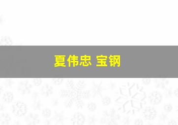 夏伟忠 宝钢